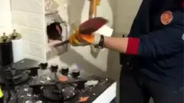 Sakarya’da Soba Bacasında Sıkışan Güvercin Kurtarıldı