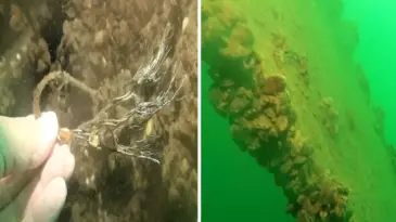 Sapanca Gölü’ne düşen uçağın enkazı 53 yıl sonra yeniden görüntülendi