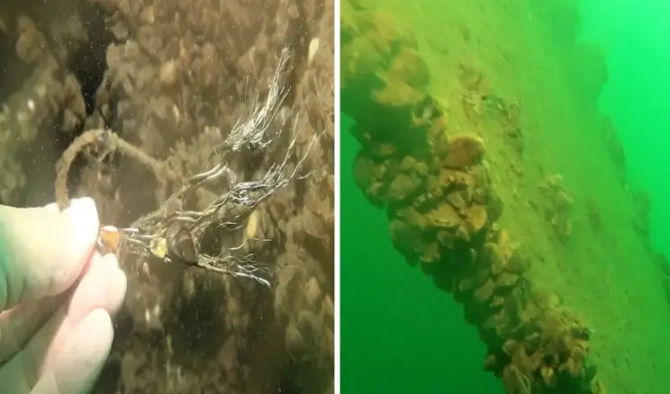 Sapanca Gölü’ne düşen uçağın enkazı 53 yıl sonra yeniden görüntülendi