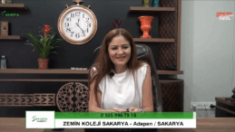 Zemin Koleji: Bilgiye Açılan Kapı