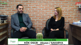 🌟 Elif Kum Evi & Çocuk Oyun Parkı – Çocuklarınız Güvende, Siz Rahat! 🌟