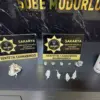 Sakarya’da Uyuşturucu Operasyonu: 2 Tutuklama